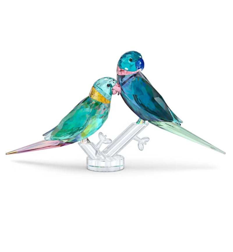 Swarovski Jungle Beats Parakeet Couple Fife & Fifer 5577124