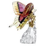 Swarovski Idyllia Butterfly 5650796